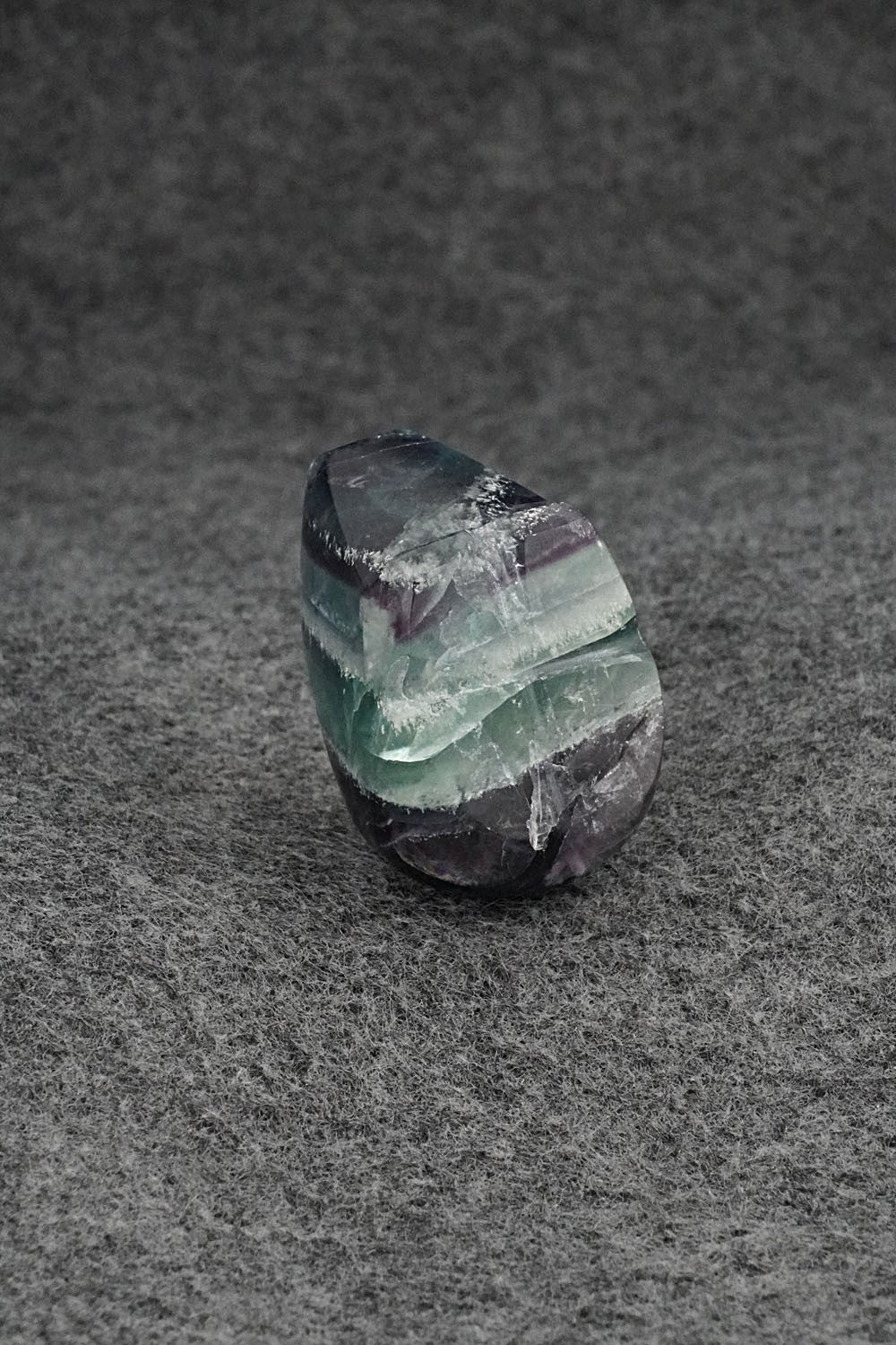 Bear Zuni Fetish Carving - Abby Quam Panteah