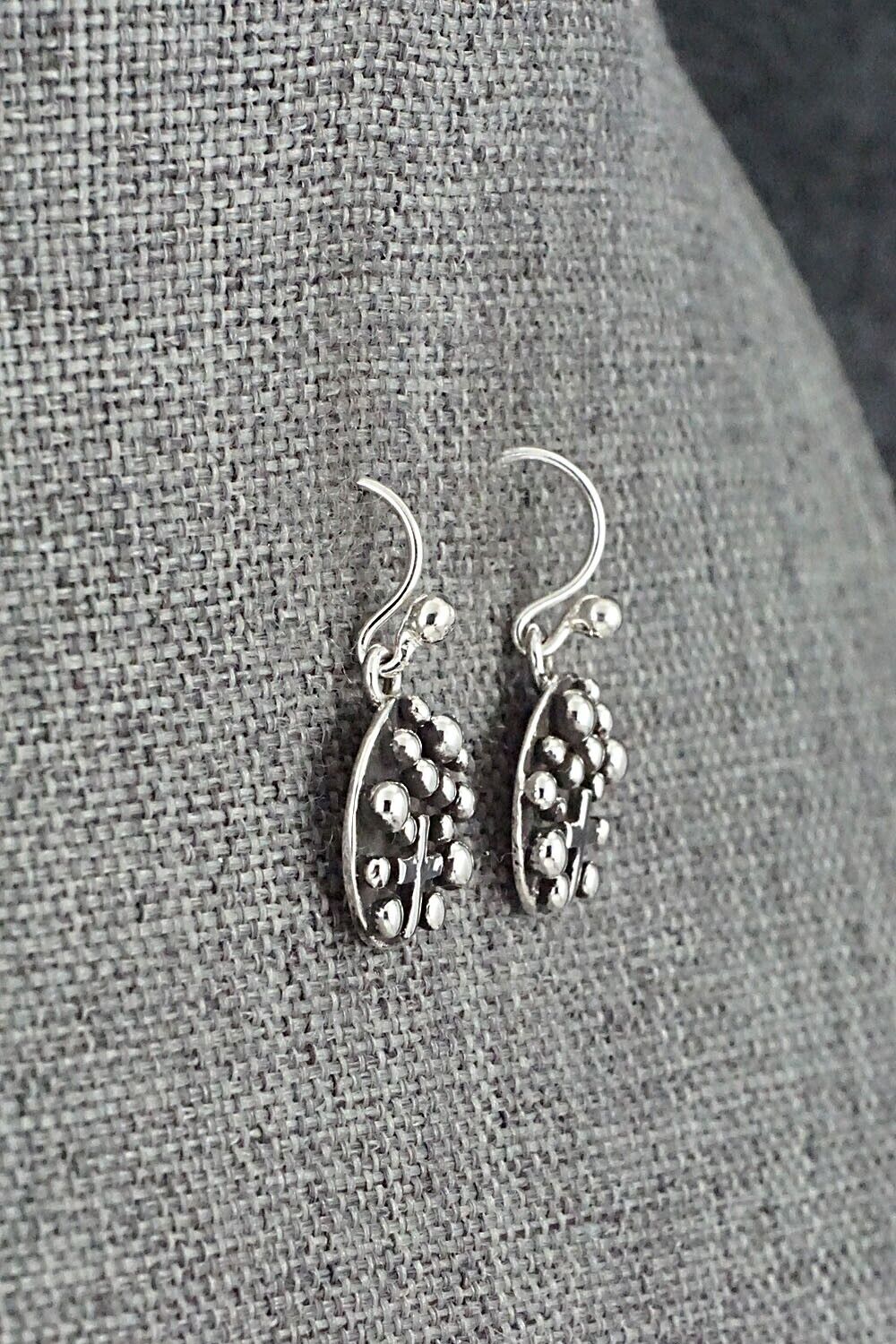 Sterling Silver Earrings - Akee Douglas