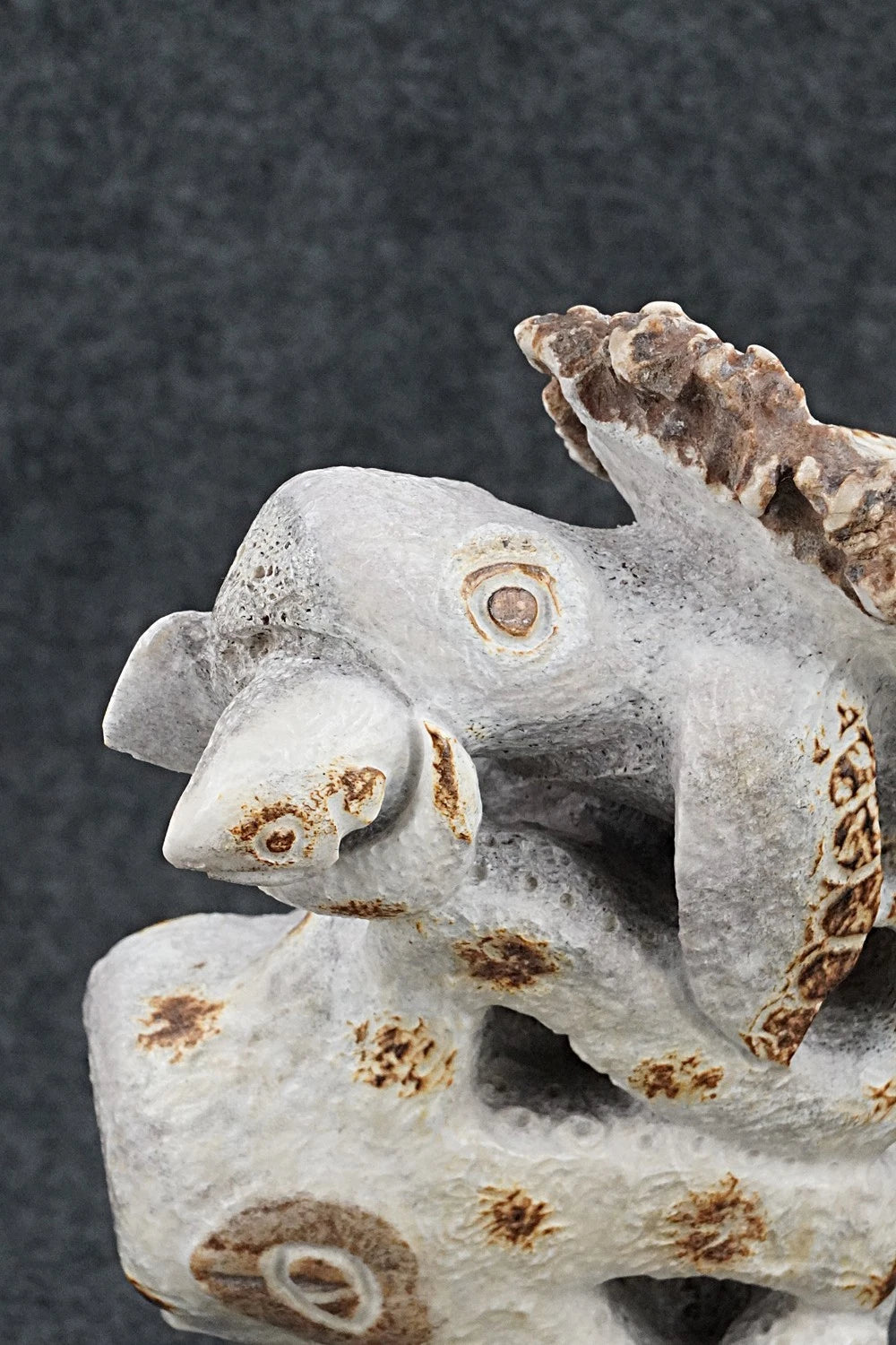Turtle & Octopus Zuni Fetish Carving - Maxx Laate