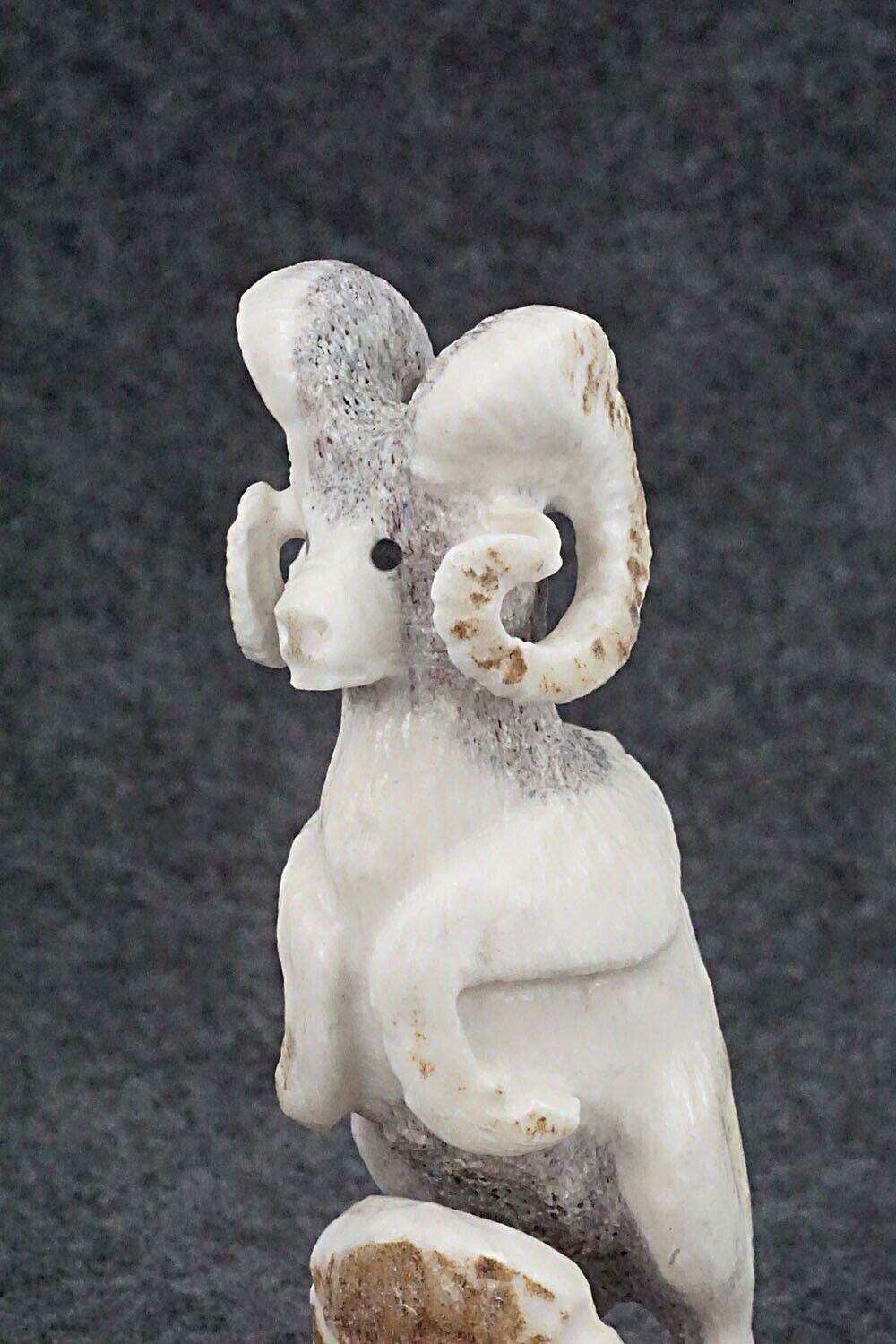Ram Zuni Fetish Carving - Maxx Laate