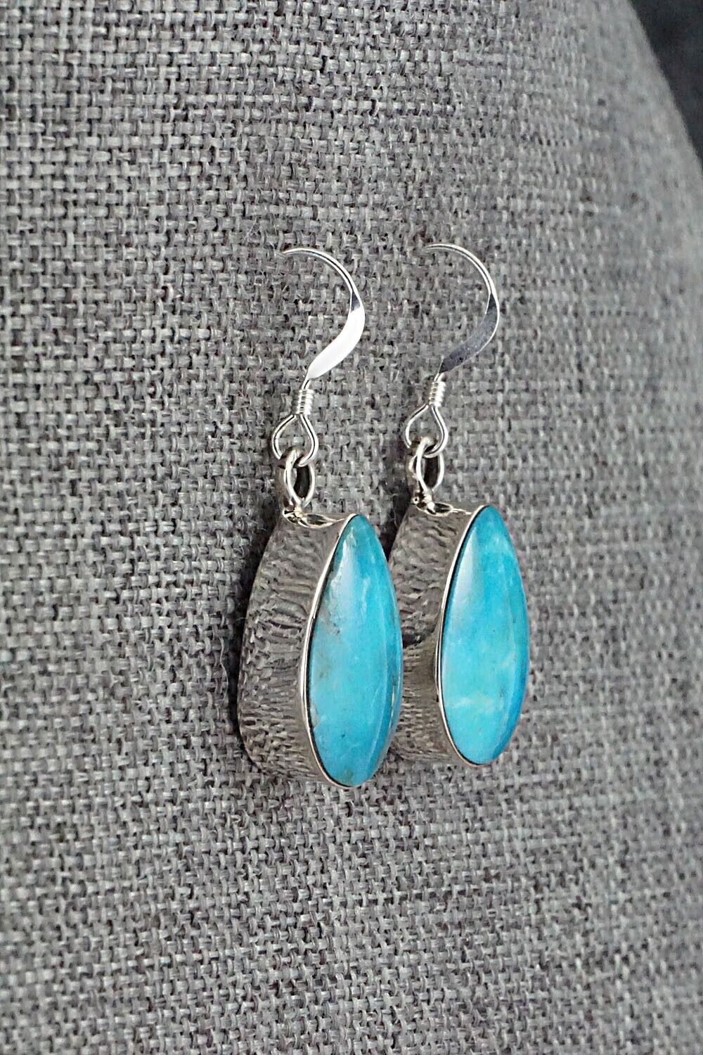 Turquoise & Sterling Silver Earrings - Sadie Jim
