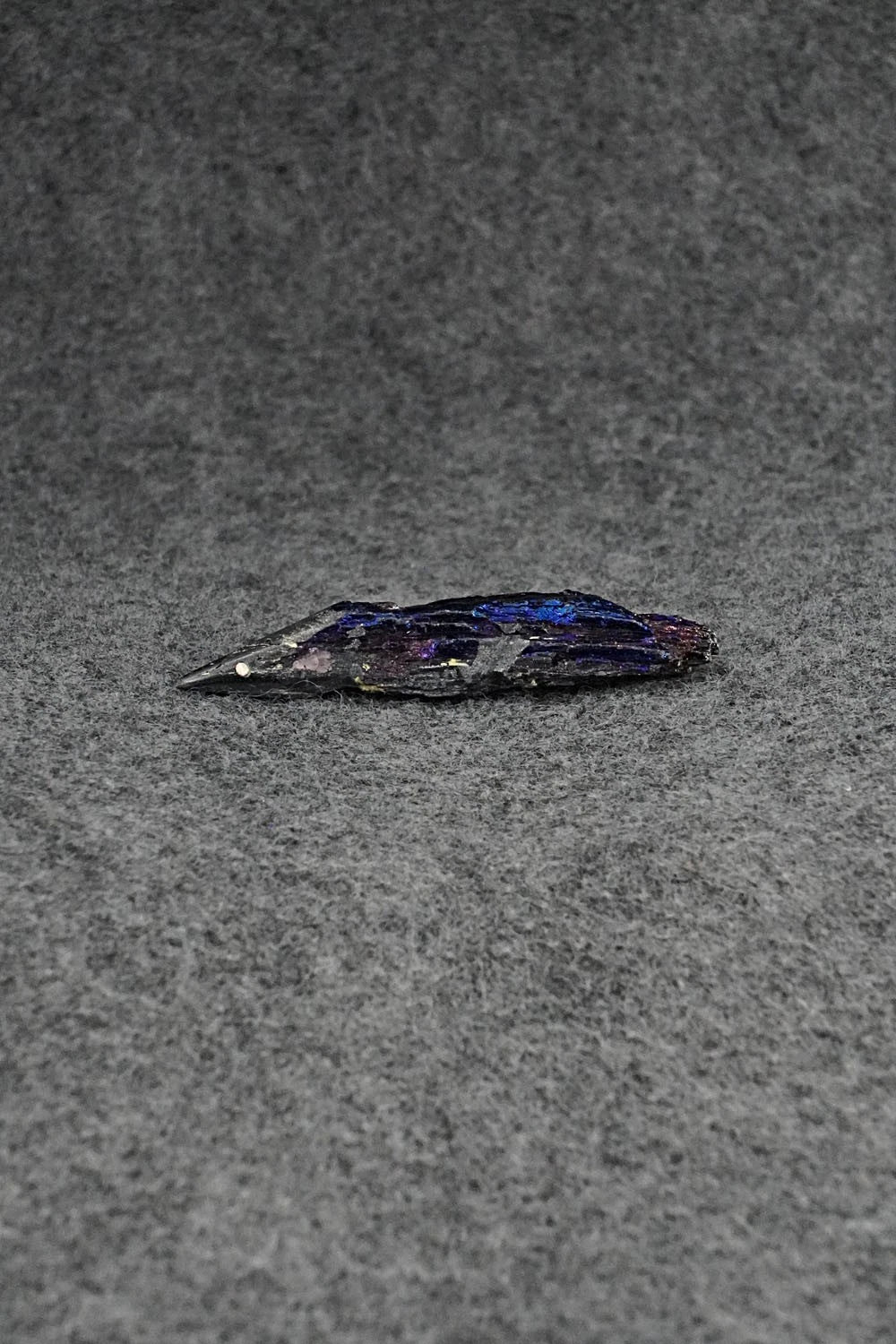 Porcupine Zuni Fetish Carving - Abby Panteah Quam