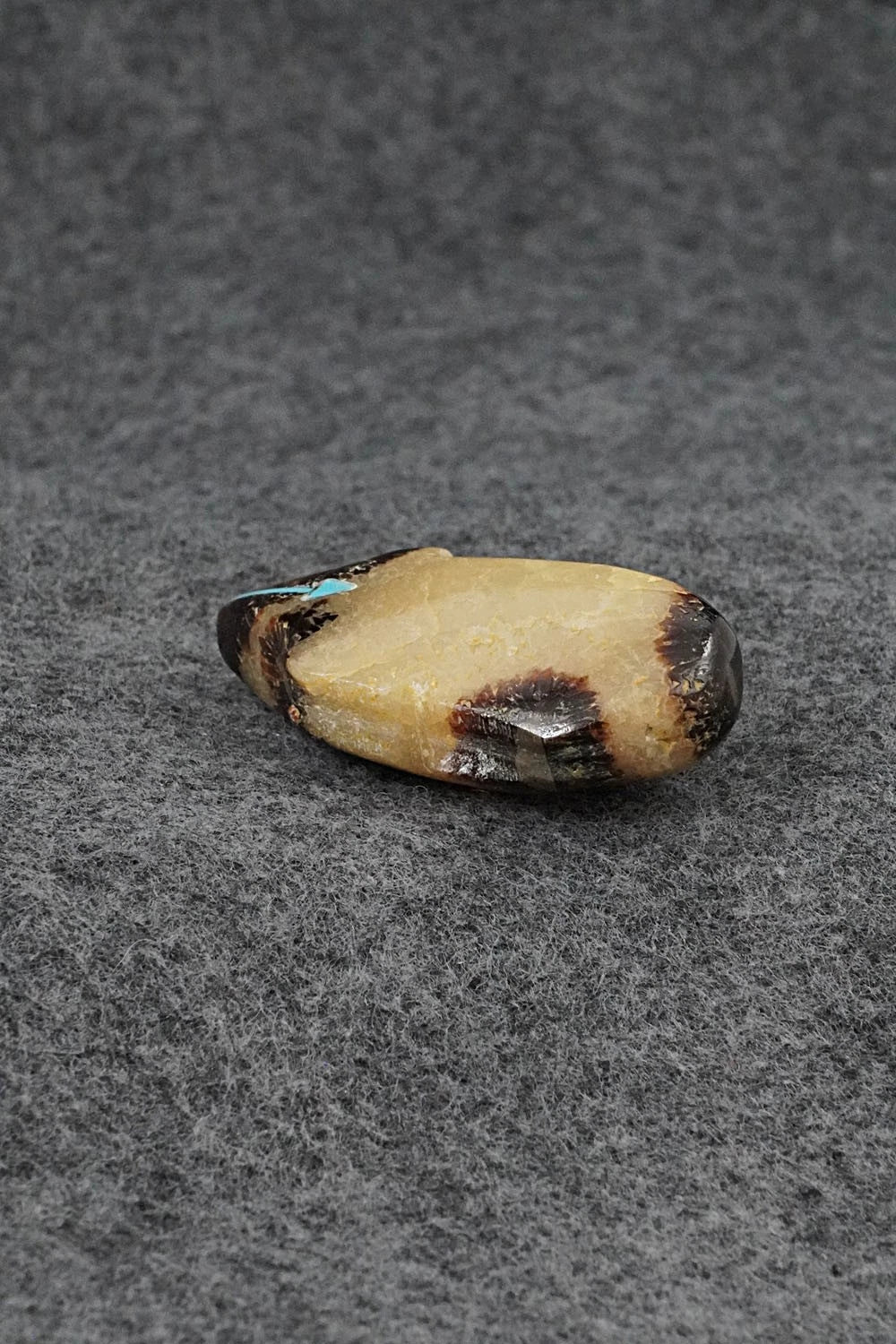 Bear Zuni Fetish Carving - Abby Panteah Quam