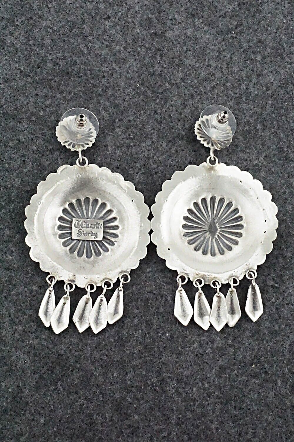 Sterling Silver Earrings - Terry Charlie