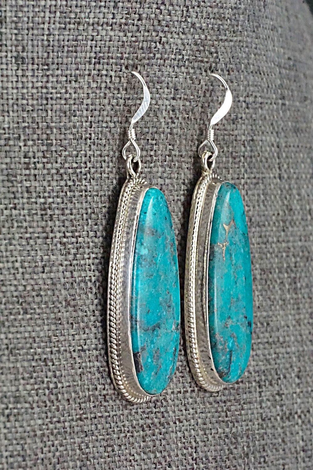 Turquoise and Sterling Silver Earrings - Sharon McCarthy