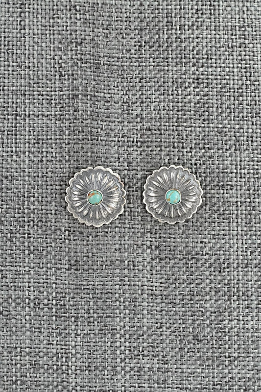 Turquoise & Sterling Silver Earrings - Terry Charlie