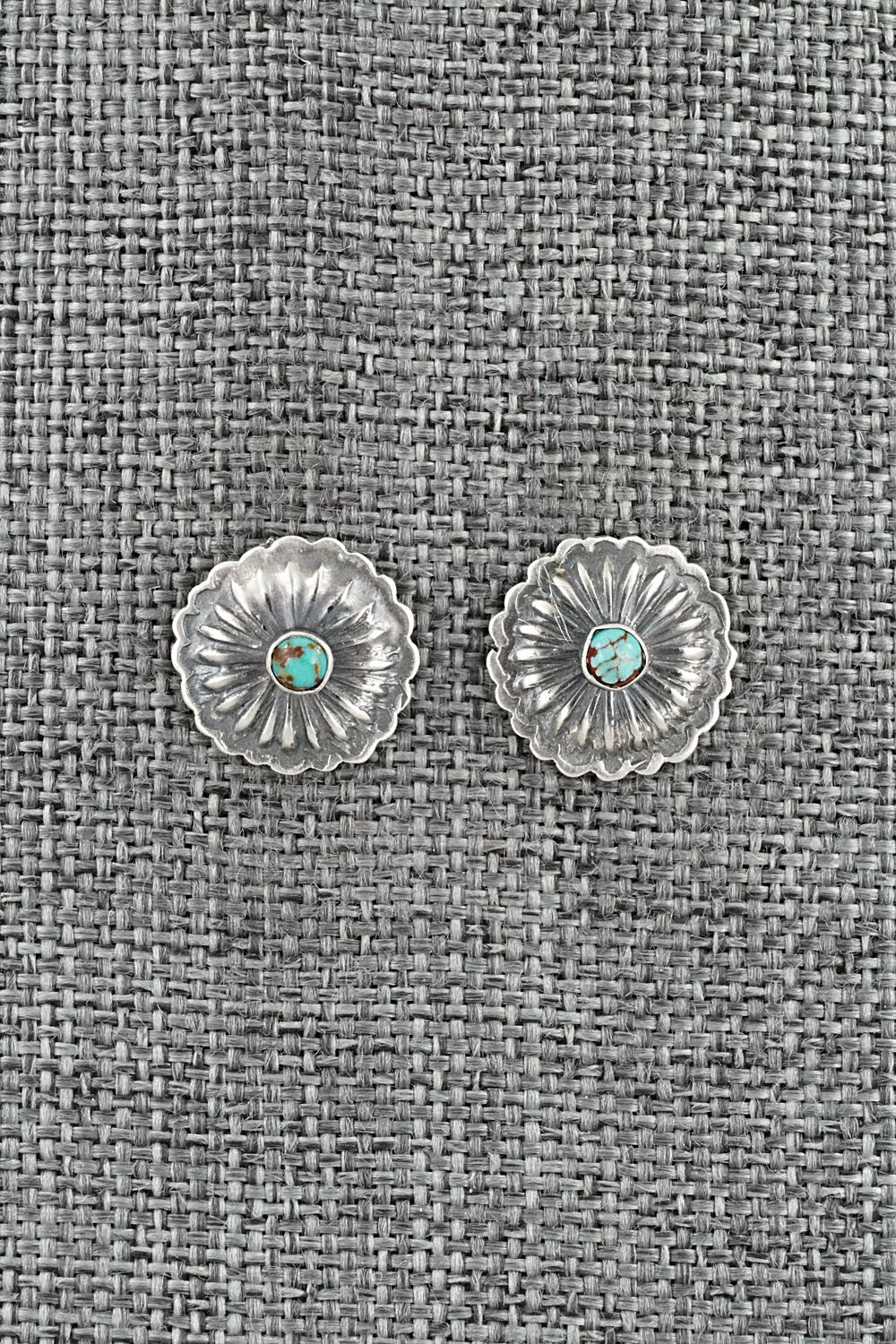 Turquoise & Sterling Silver Earrings - Terry Charlie