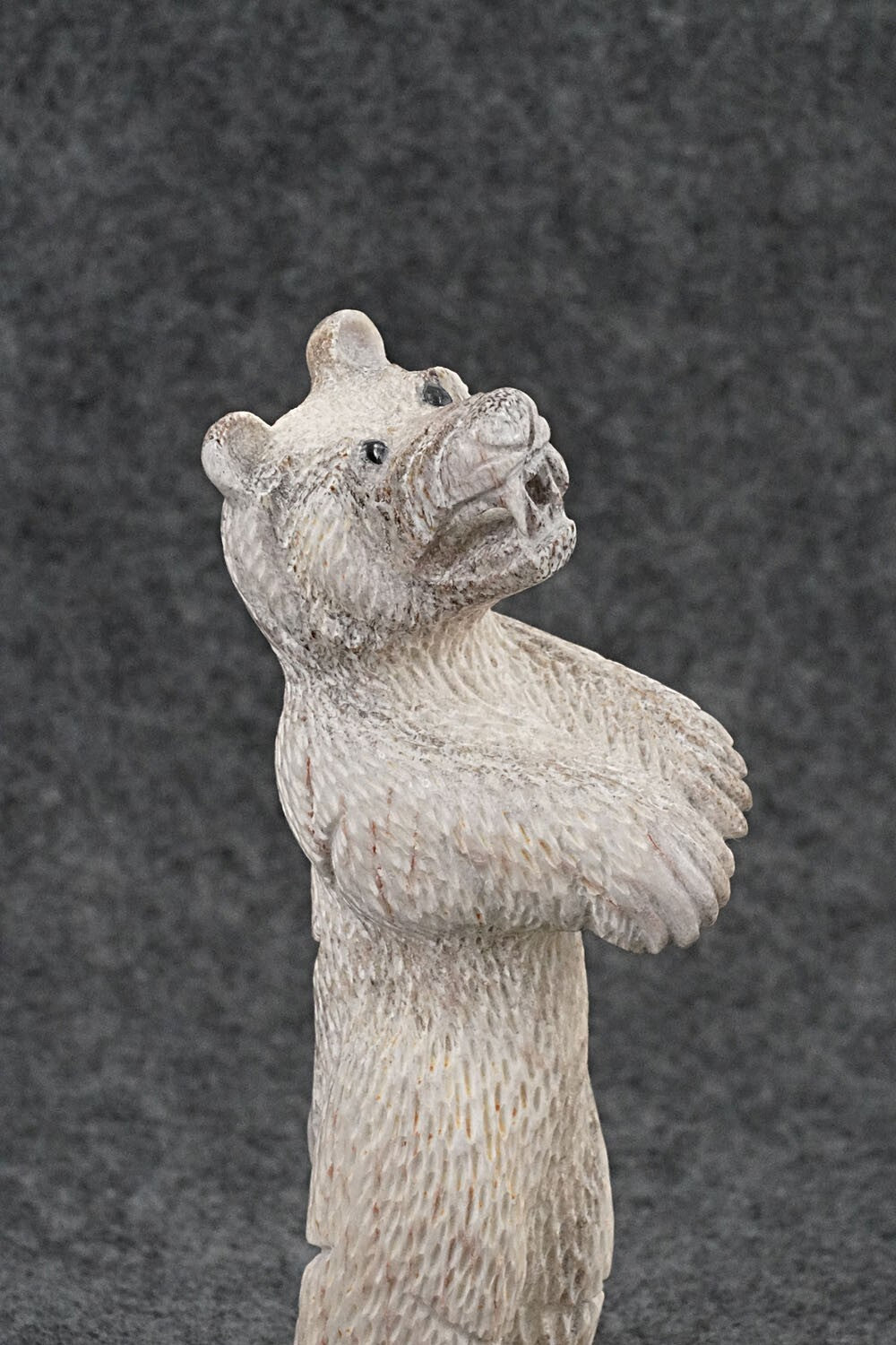 Bear Zuni Fetish Carving - Terrance Panteah