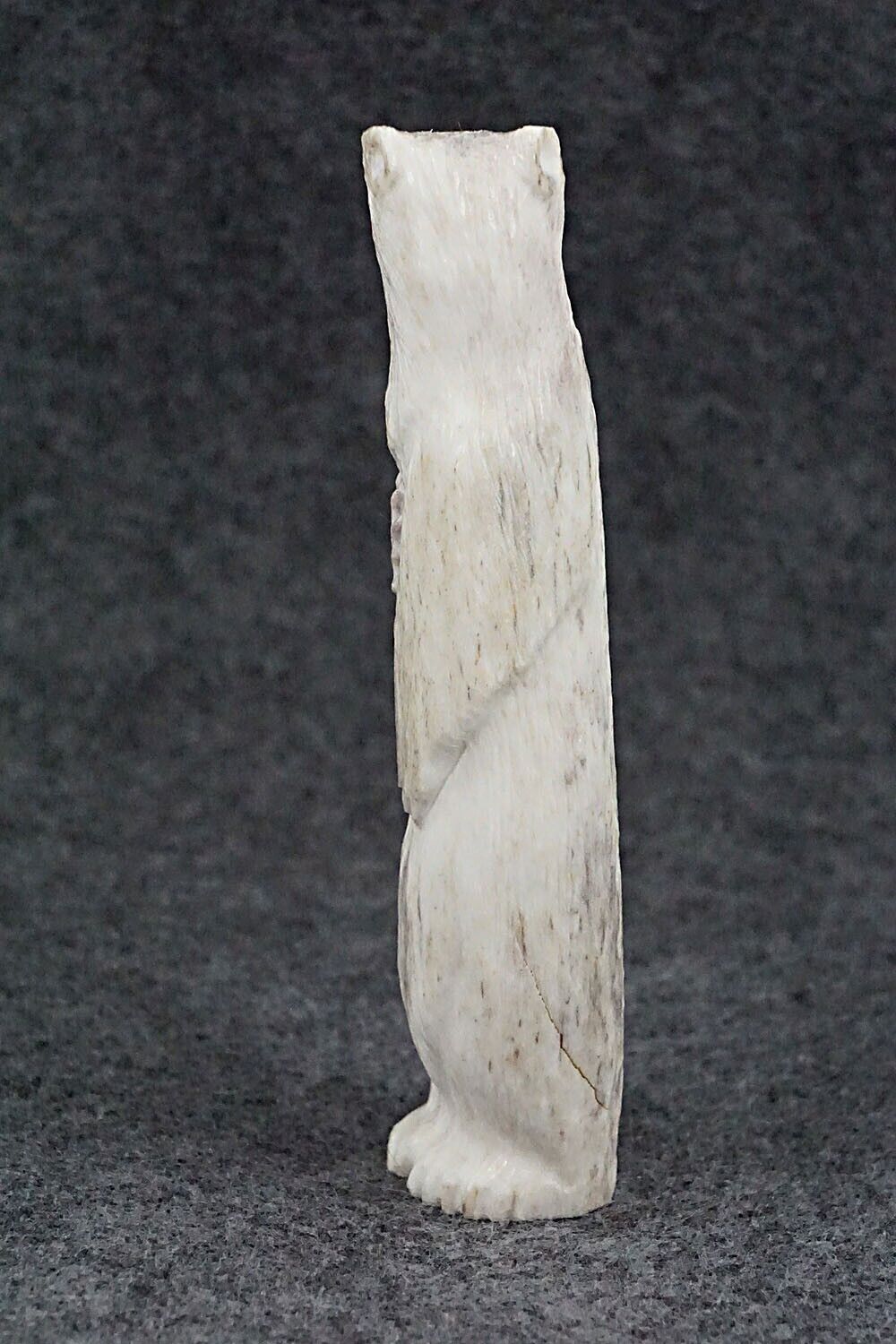 Bear Zuni Fetish Carving - Maxx Laate