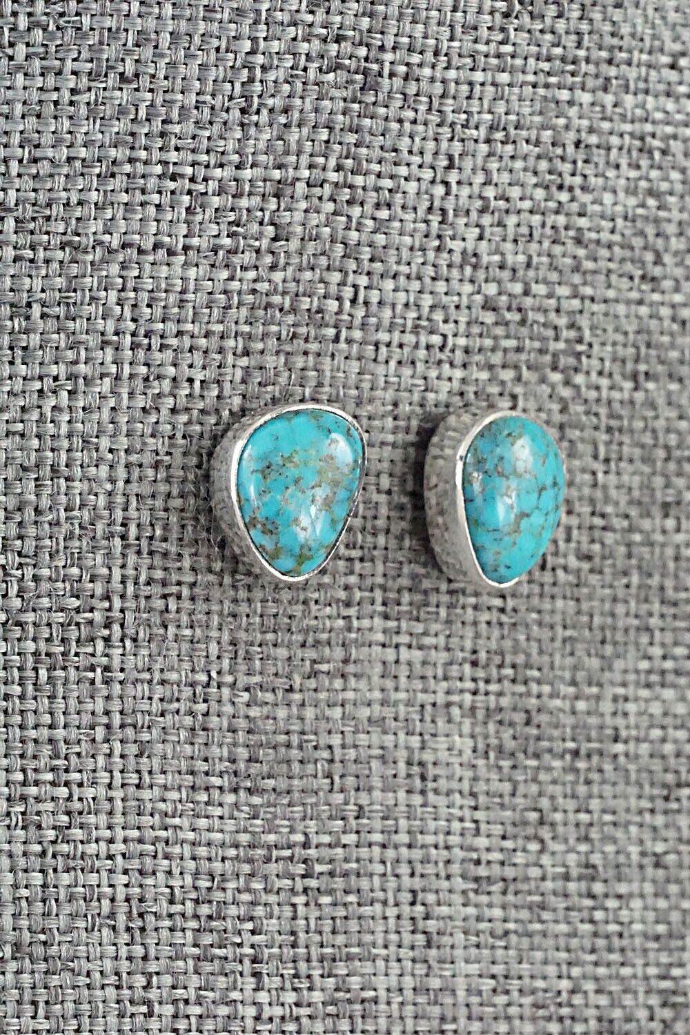 Turquoise & Sterling Silver Earrings - Marco Begaye