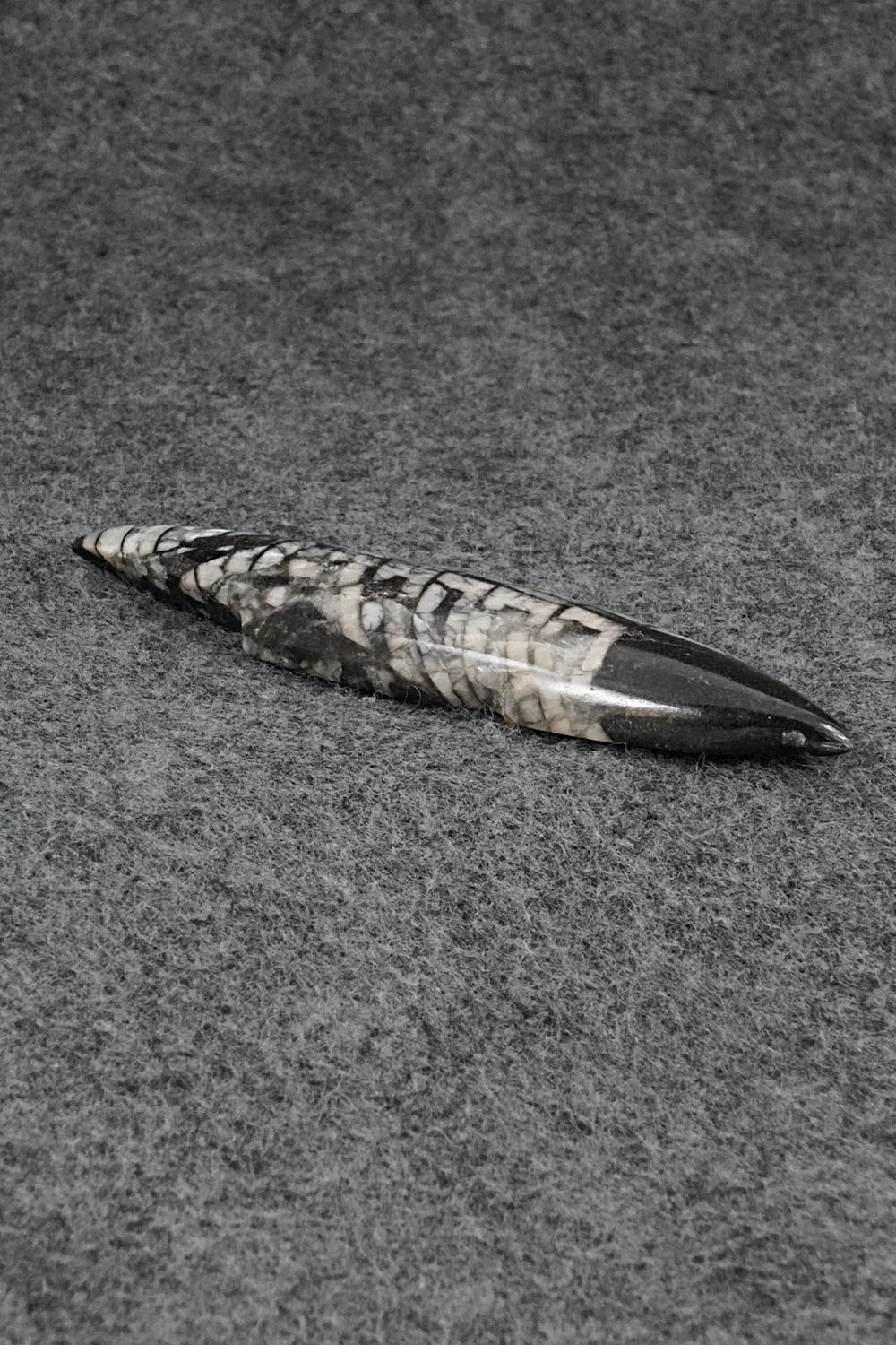 Mole Zuni Fetish Carving - Abby Quam Panteah