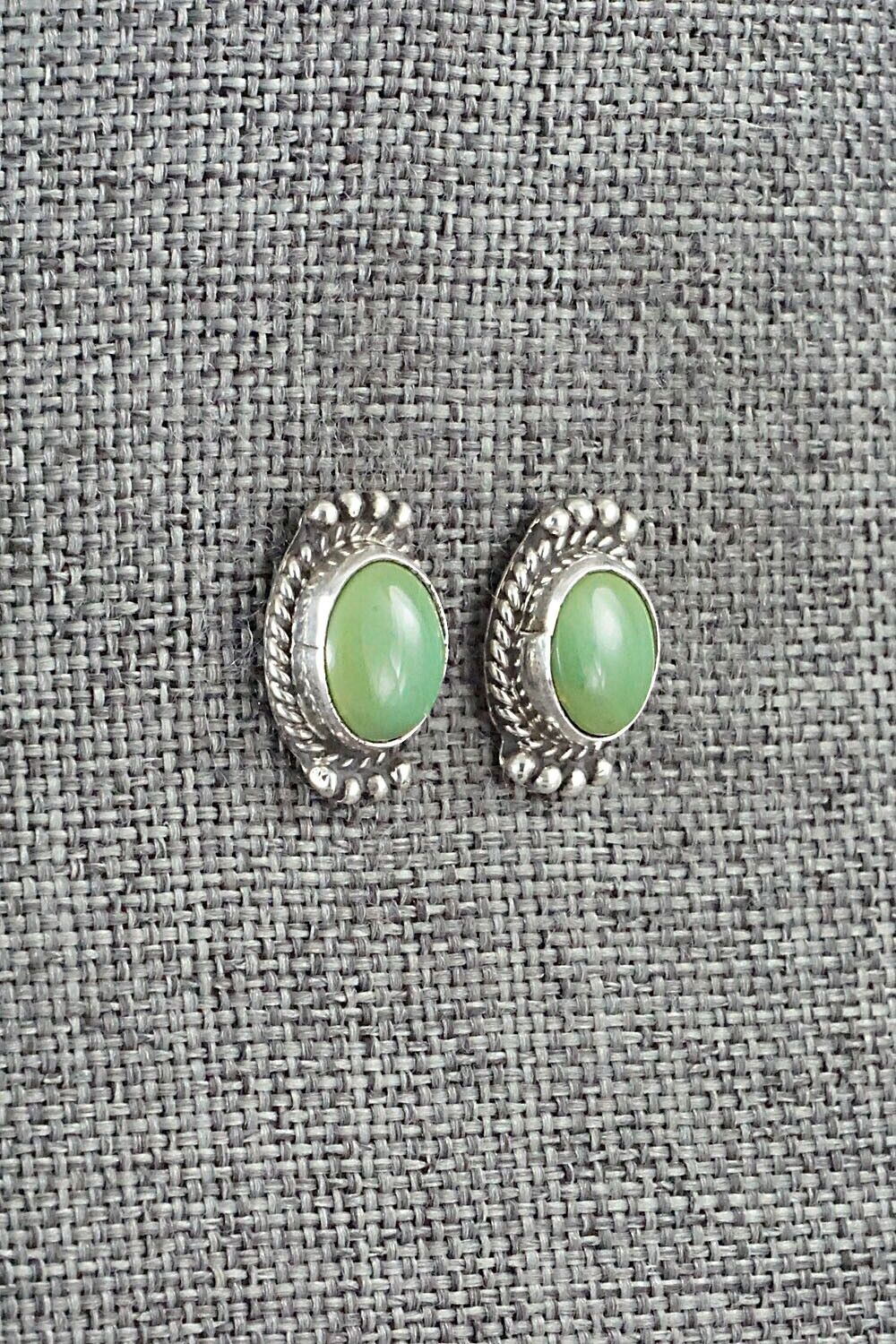 Turquoise & Sterling Silver Earrings - Jan Mariano