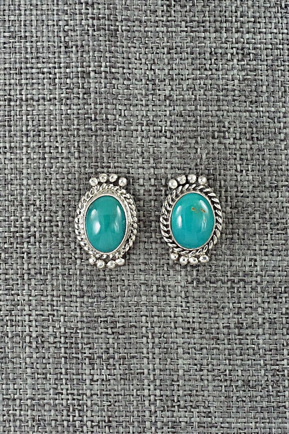 Turquoise & Sterling Silver Earrings - Jan Mariano