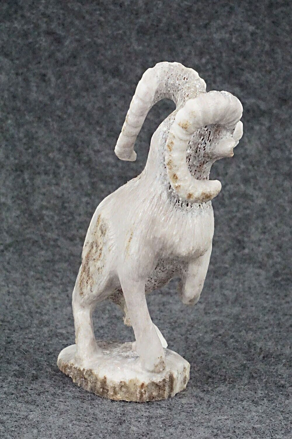 Ram Zuni Fetish Carving - Maxx Laate