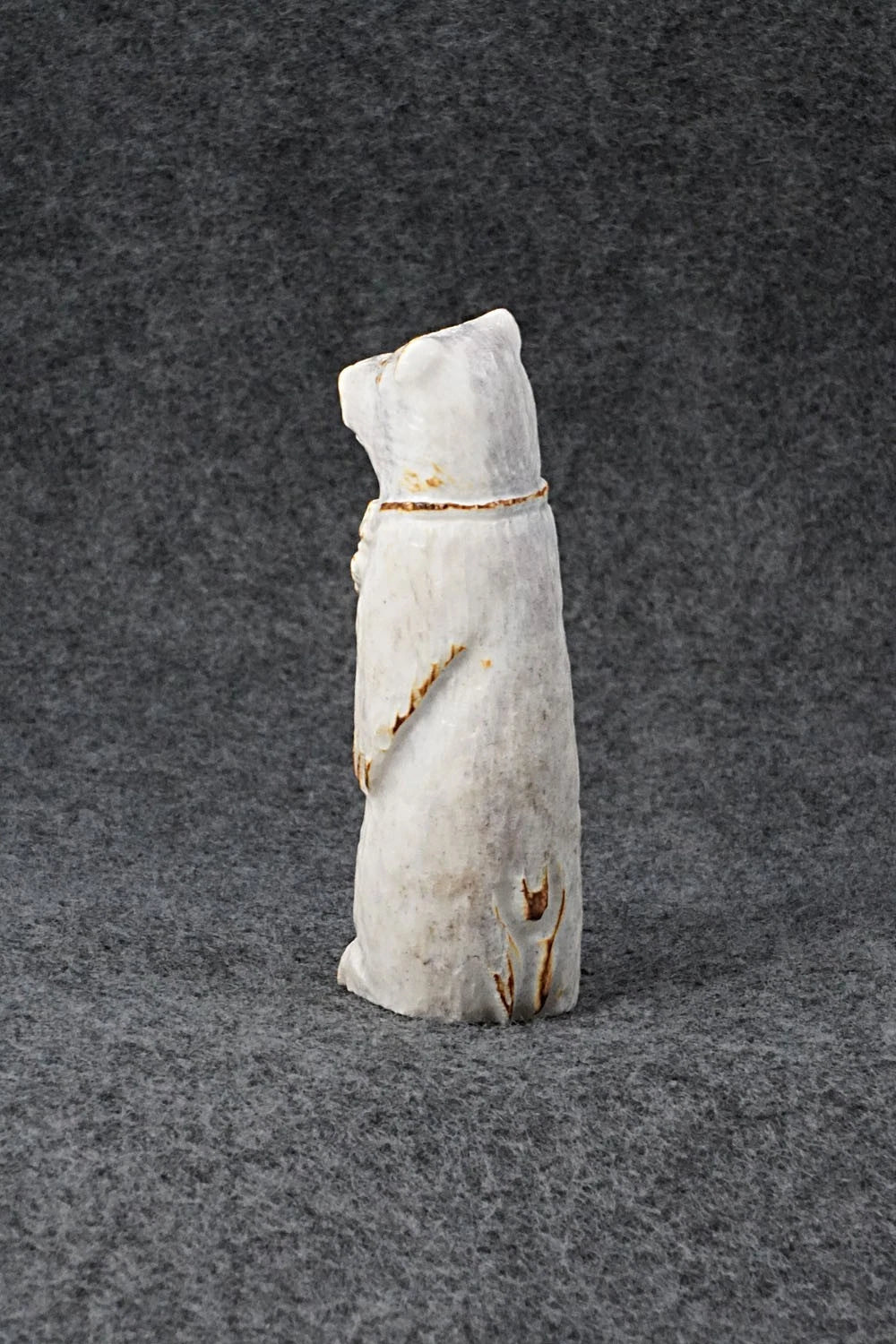 Bear Zuni Fetish Carving - Maxx Laate