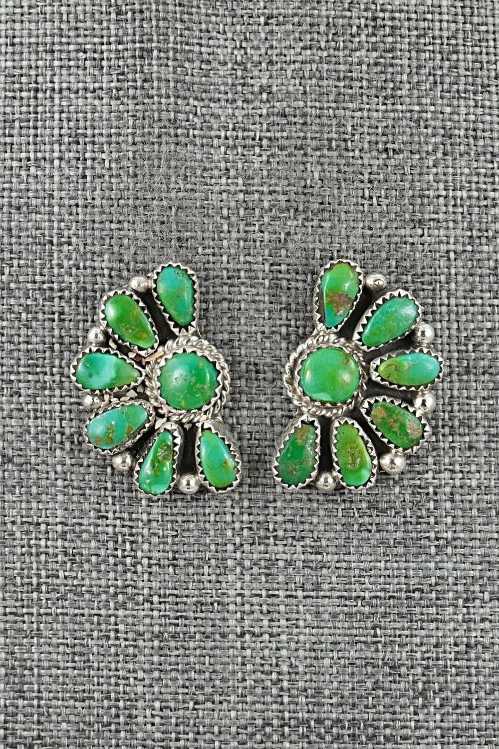 Turquoise & Sterling Silver Earrings - Justina Wilson