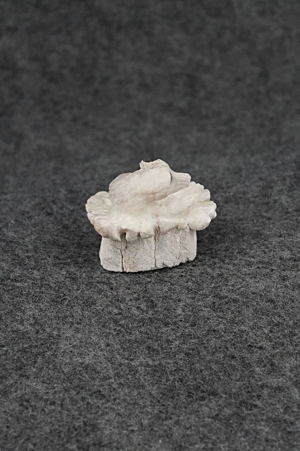 Wolf Zuni Fetish Carving - Chris Peina