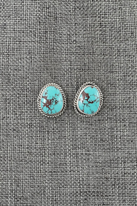 Turquoise & Sterling Silver Earrings - Eugene Gruber