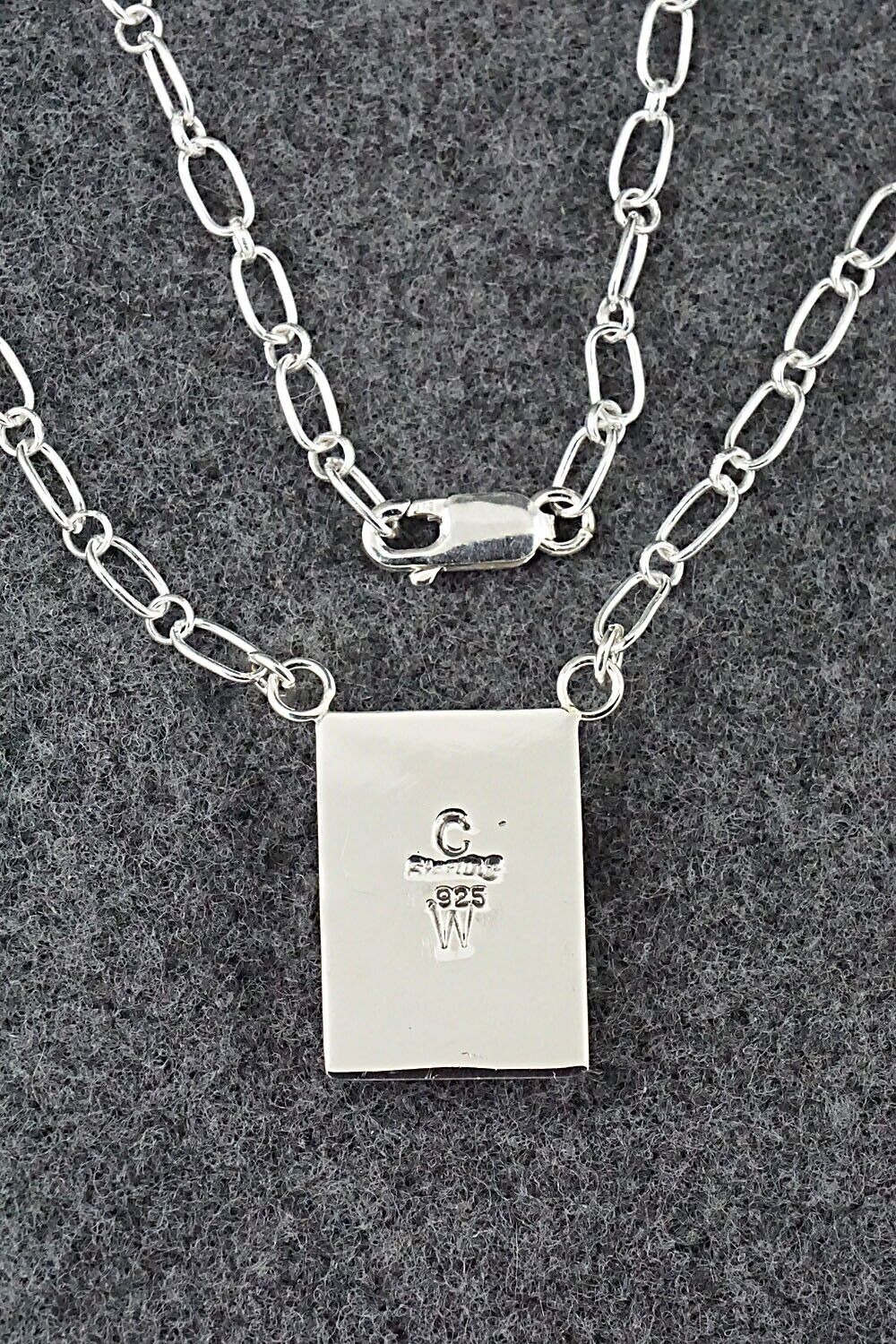 White Buffalo, Turquoise & Sterling Silver Necklace - Michelle Willie
