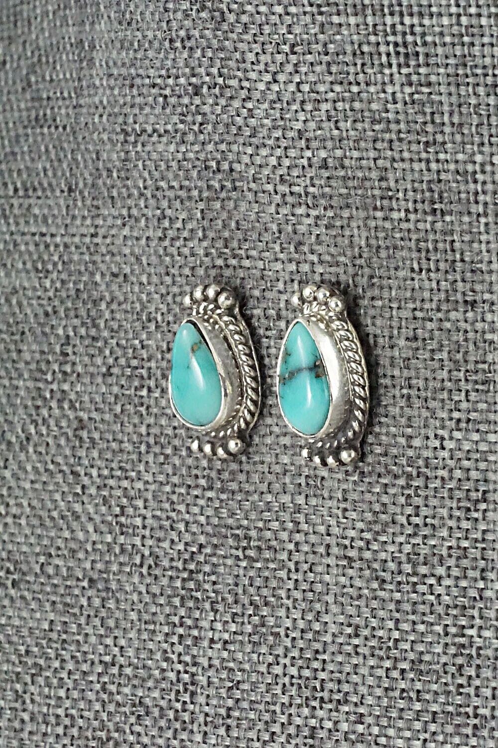 Turquoise & Sterling Silver Earrings - Jan Mariano