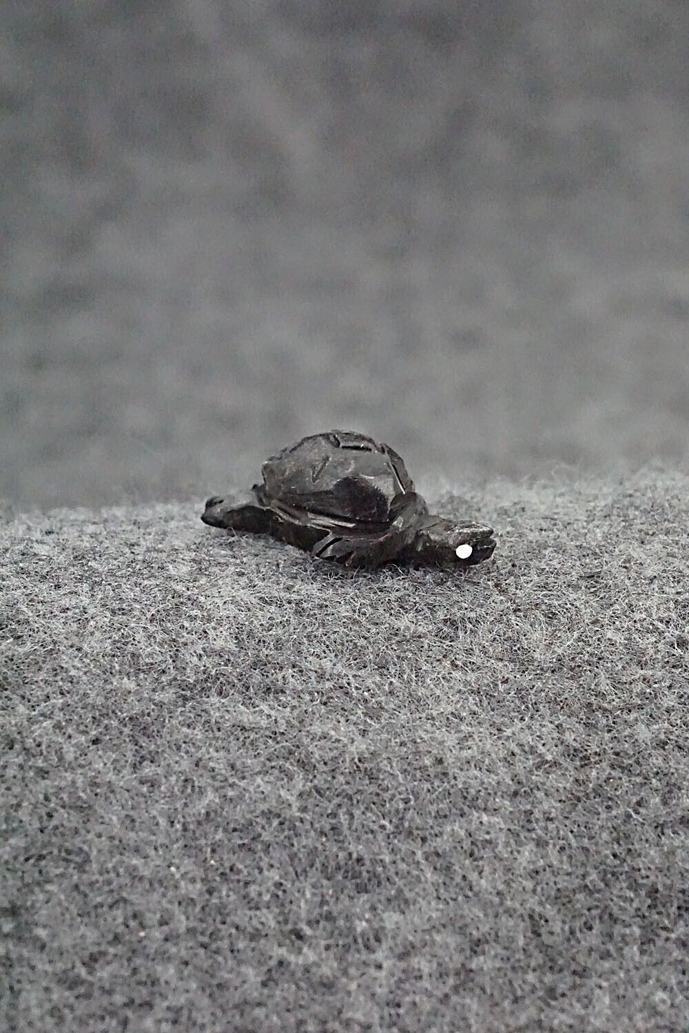 Tiny Turtle Zuni Fetish Carving - Vander Tsethlikai
