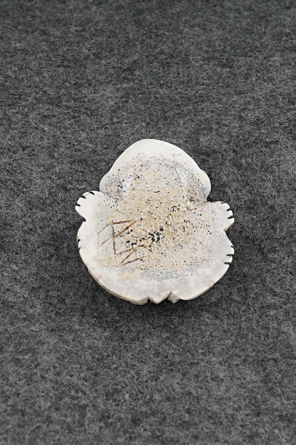 Frog Zuni Fetish Carving - Claudia Peina