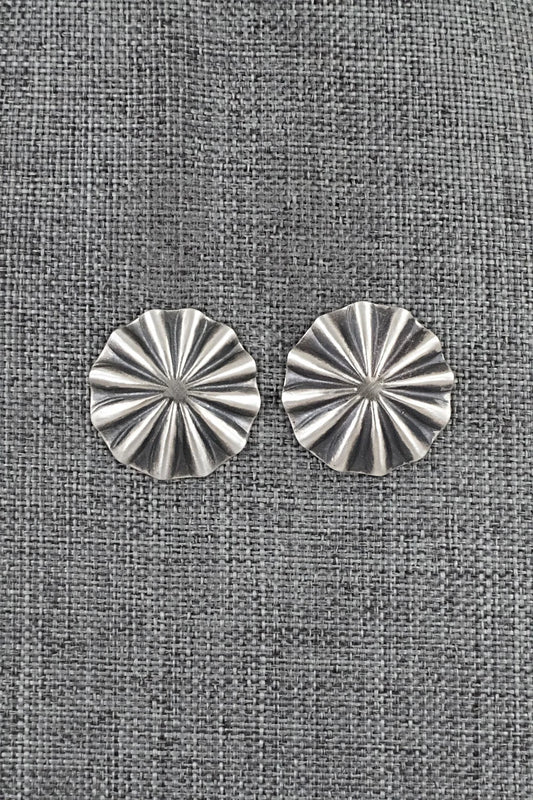 Sterling Silver Earrings - Arlene Soce