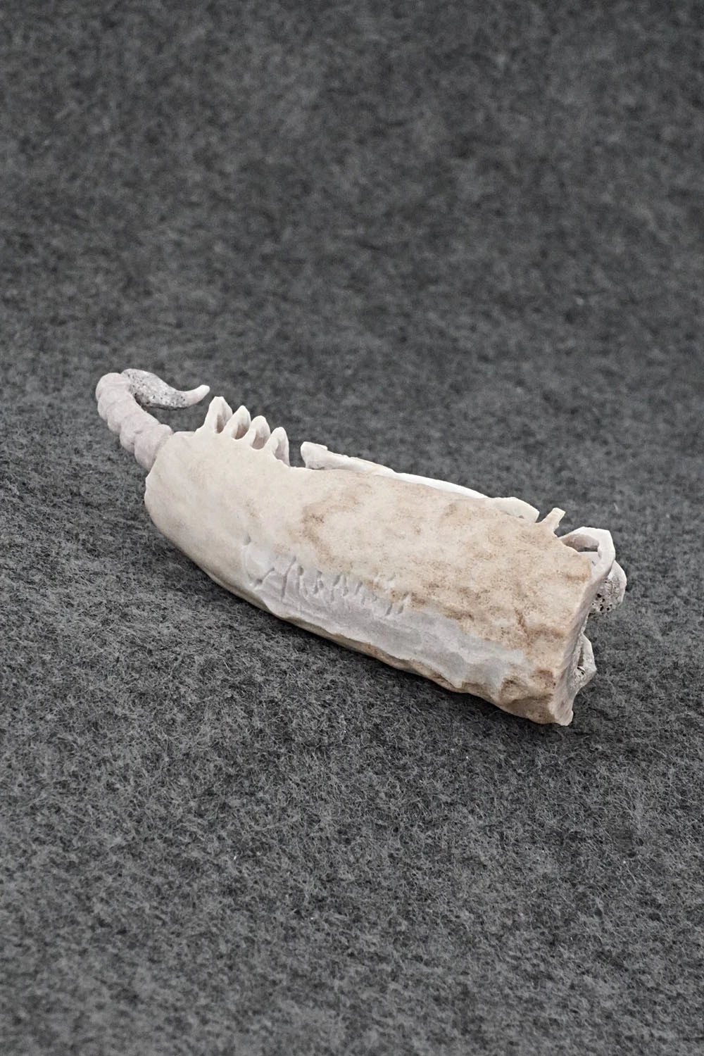 Spider & Scorpion Zuni Fetish Carving - Lewis Malie
