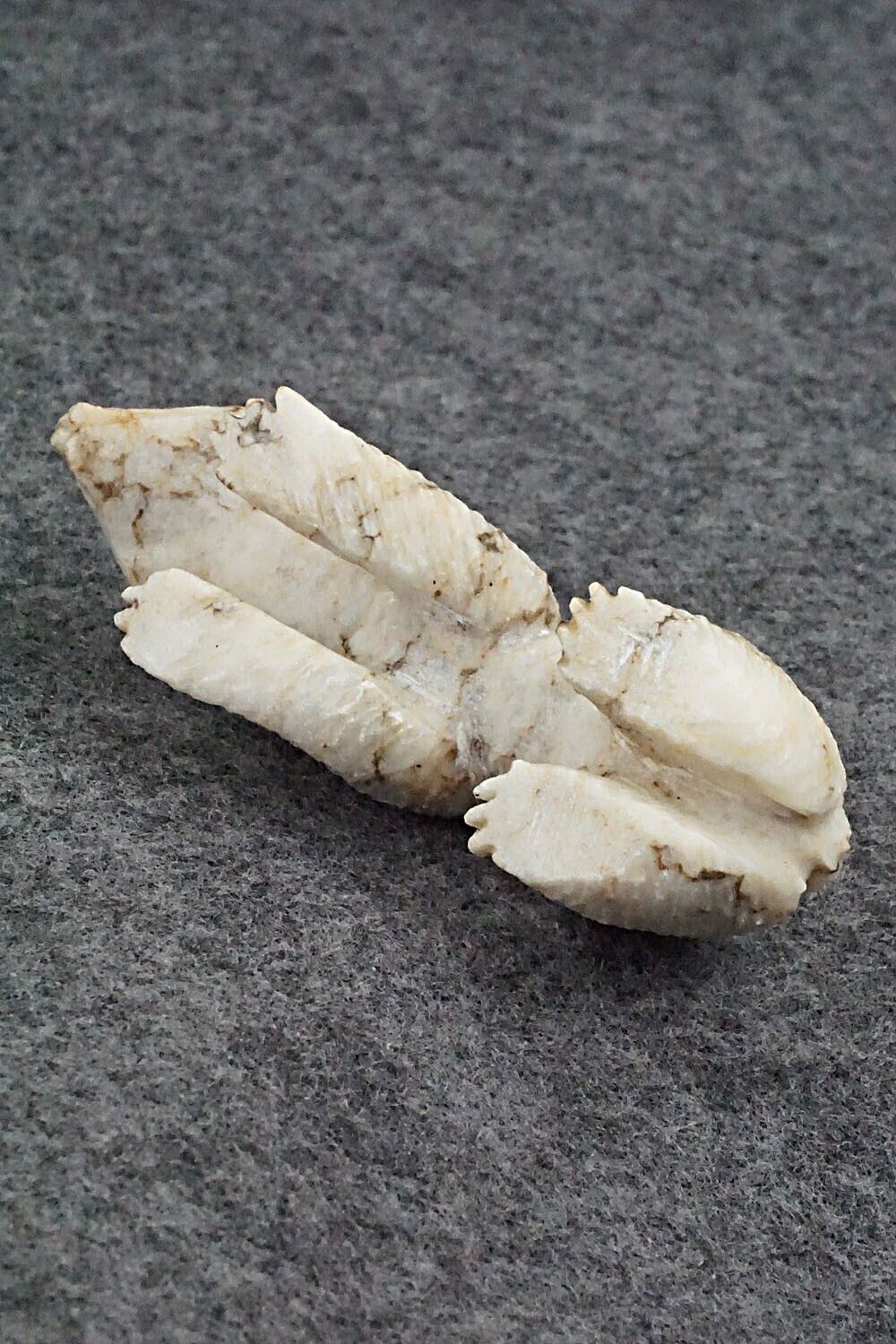 Wolf Zuni Fetish Carving - Jonas Hustito