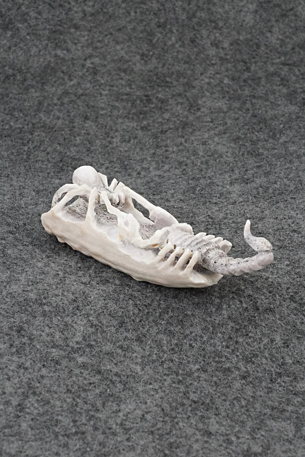 Spider & Scorpion Zuni Fetish Carving - Lewis Malie