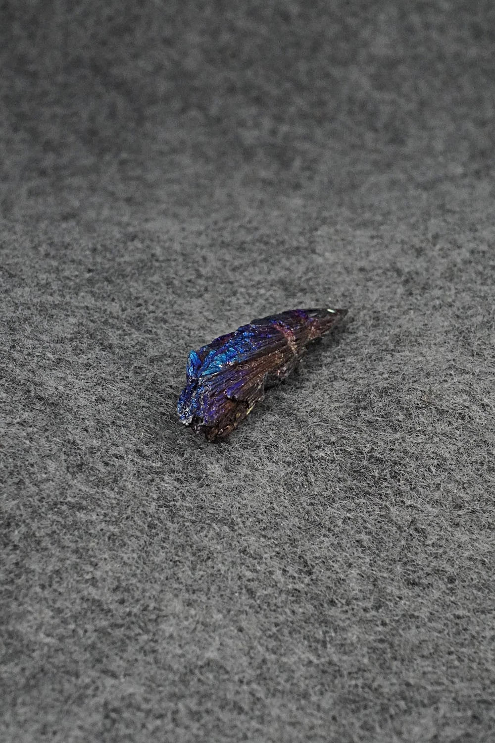 Porcupine Zuni Fetish Carving - Abby Panteah Quam