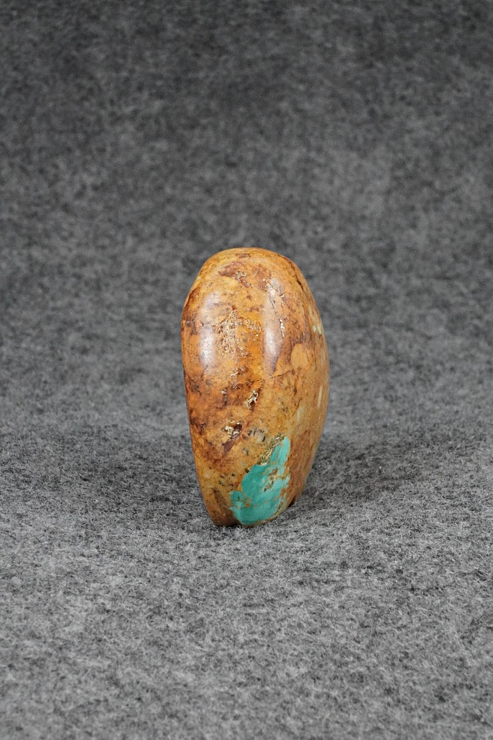 Bear Zuni Fetish Carving - Abby Panteah Quam