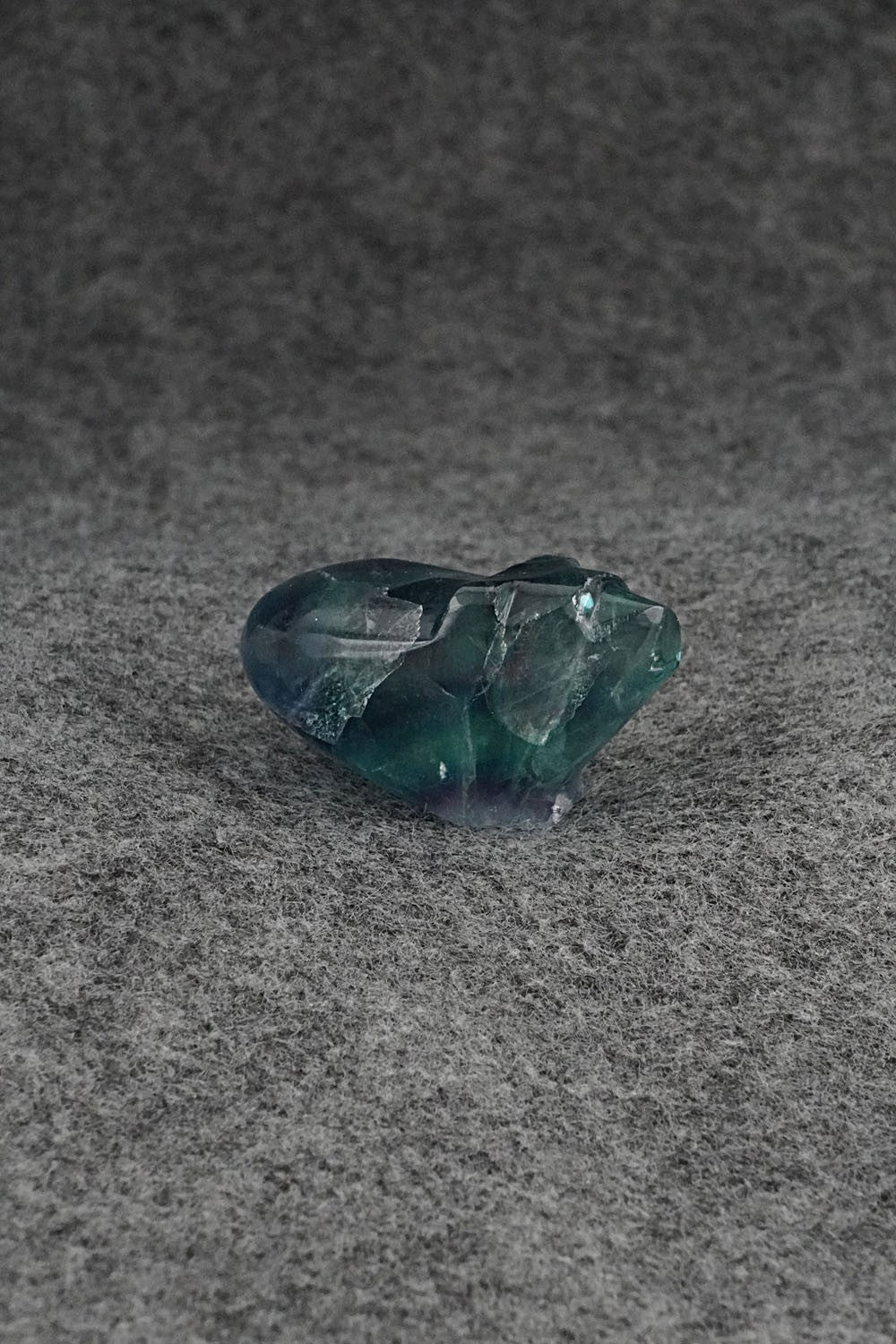 Bear Zuni Fetish Carving - Abby Quam Panteah