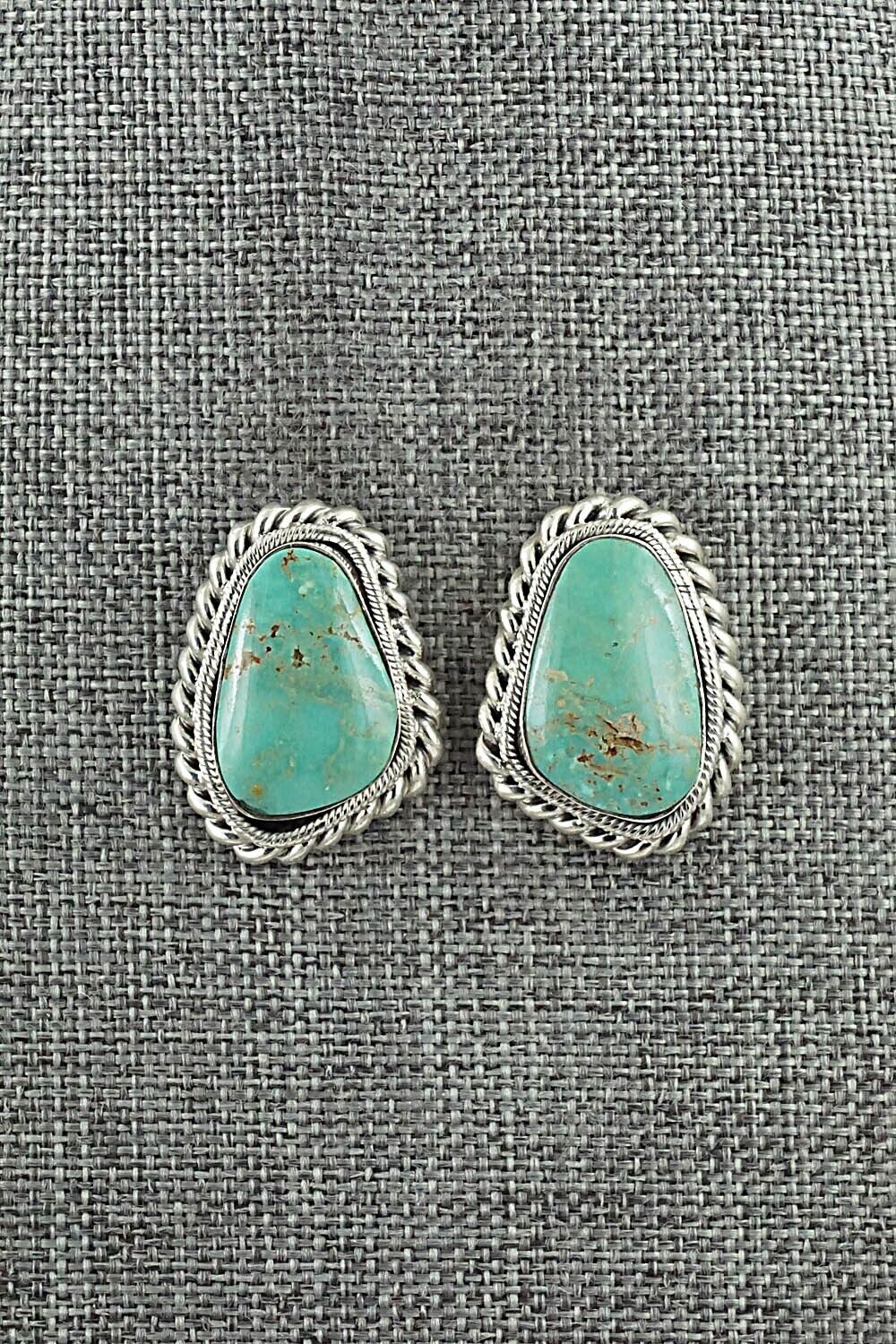 Turquoise & Sterling Silver Earrings - Sharon McCarthy