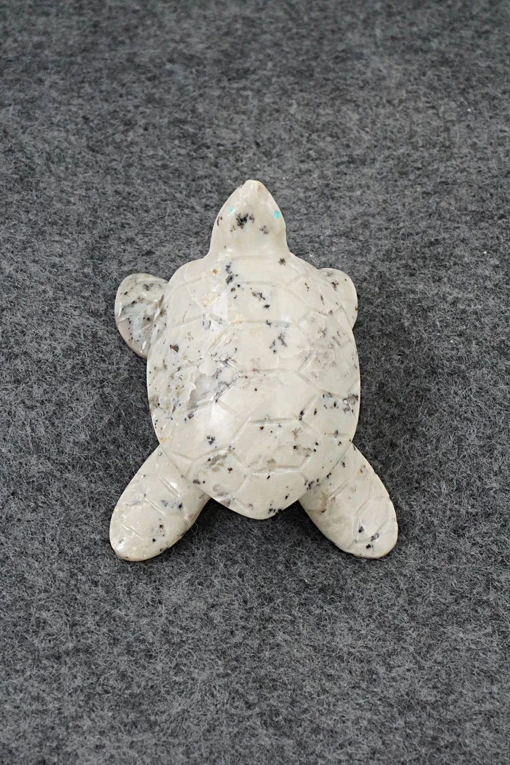 Turtle Zuni Fetish Carving - Joseph Quam