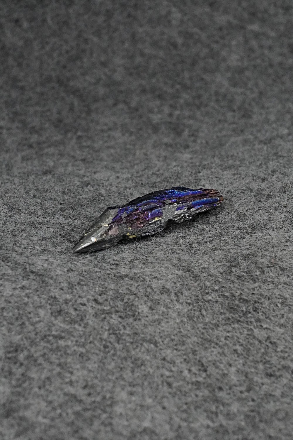 Porcupine Zuni Fetish Carving - Abby Panteah Quam