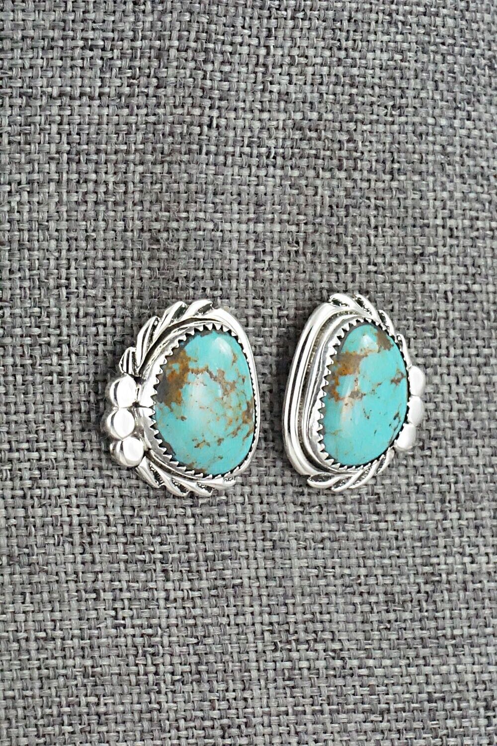 Turquoise and Sterling Silver Earrings - Delores Cadman