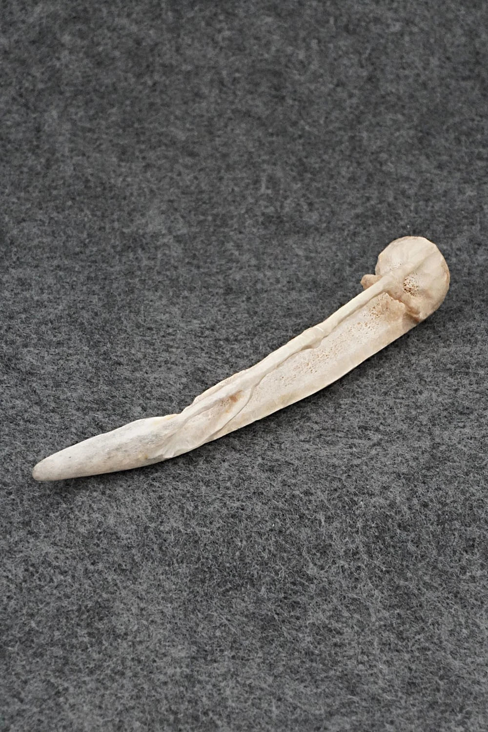 Stick Bug Zuni Fetish Carving - Lewis Malie Jr.