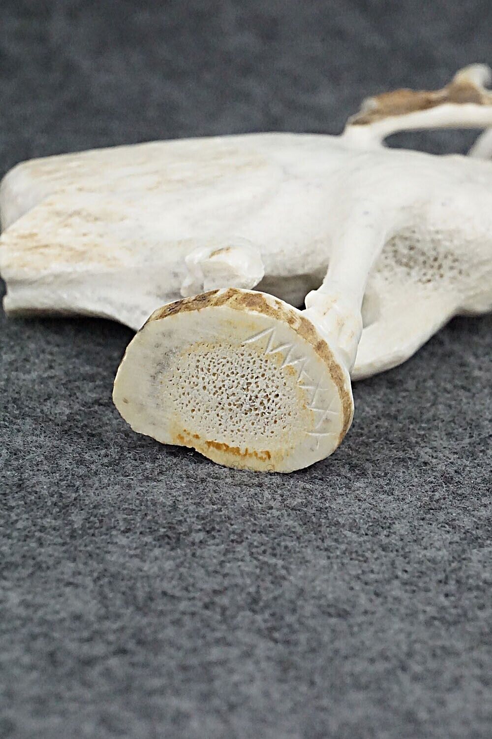 Elk Zuni Fetish Carving - Maxx Laate
