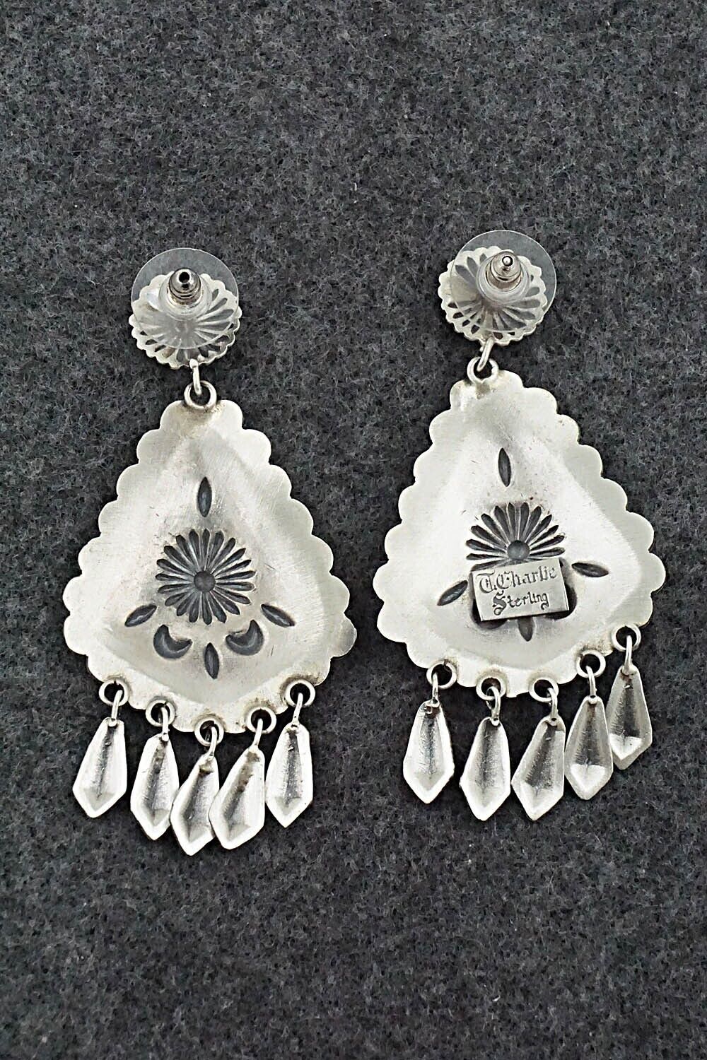 Sterling Silver Earrings - Terry Charlie