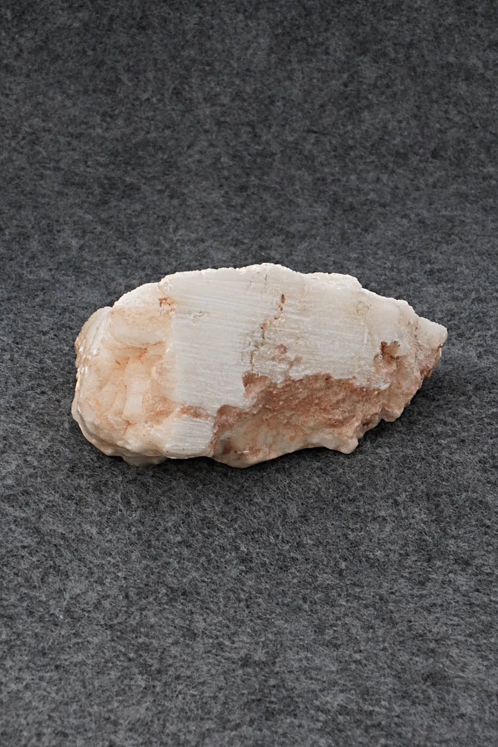 Buffalo Navajo Fetish Carving - Ron Goodluck