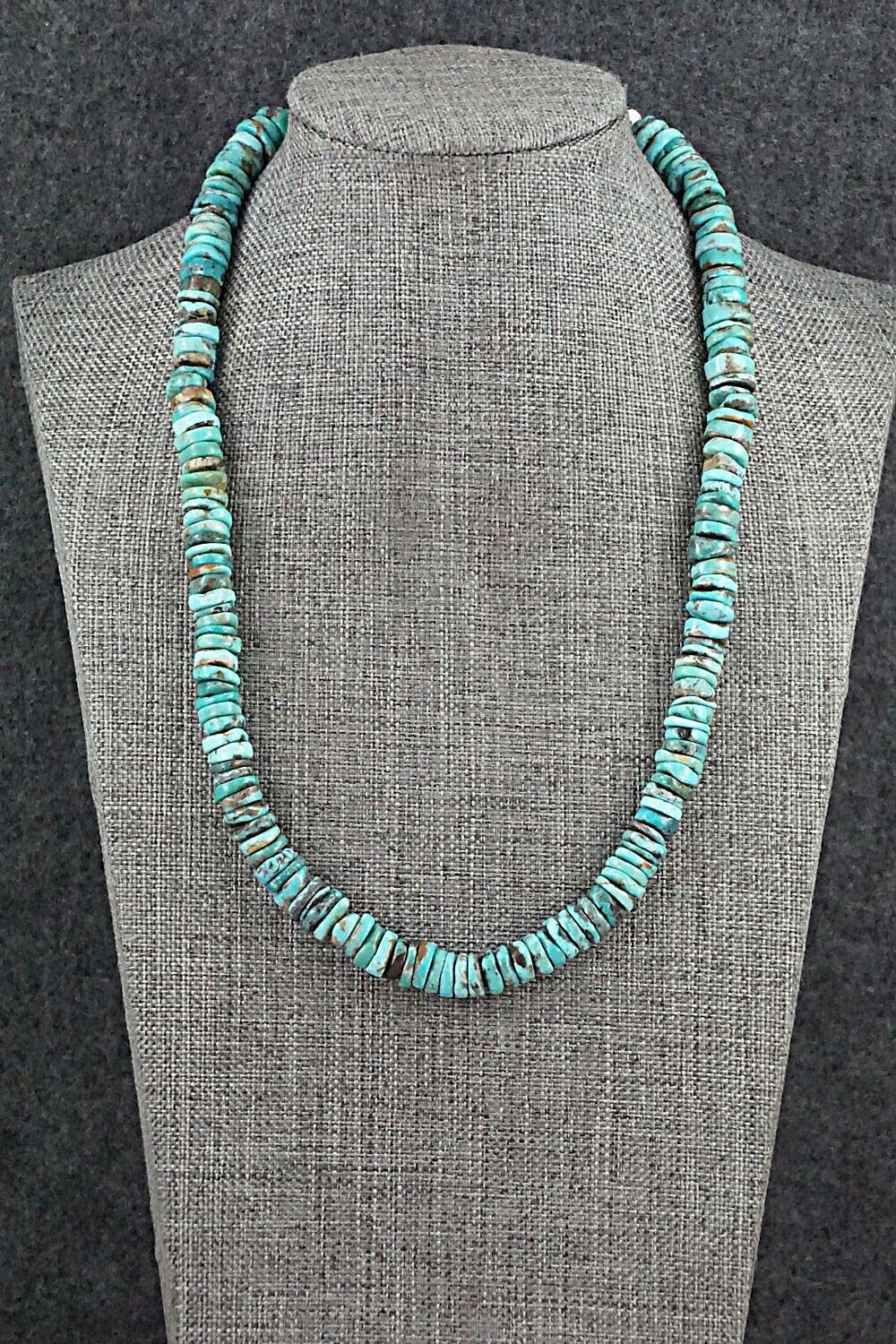 Turquoise & Sterling Silver Necklace 18" - Doreen Jake