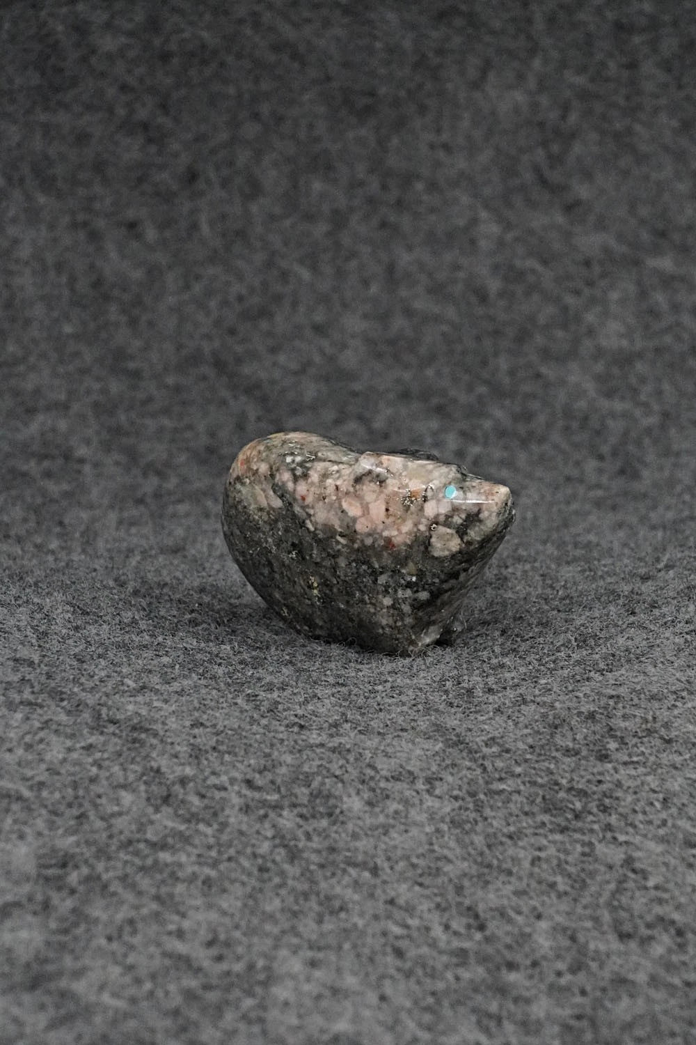 Bear Zuni Fetish Carving - Abby Panteah Quam