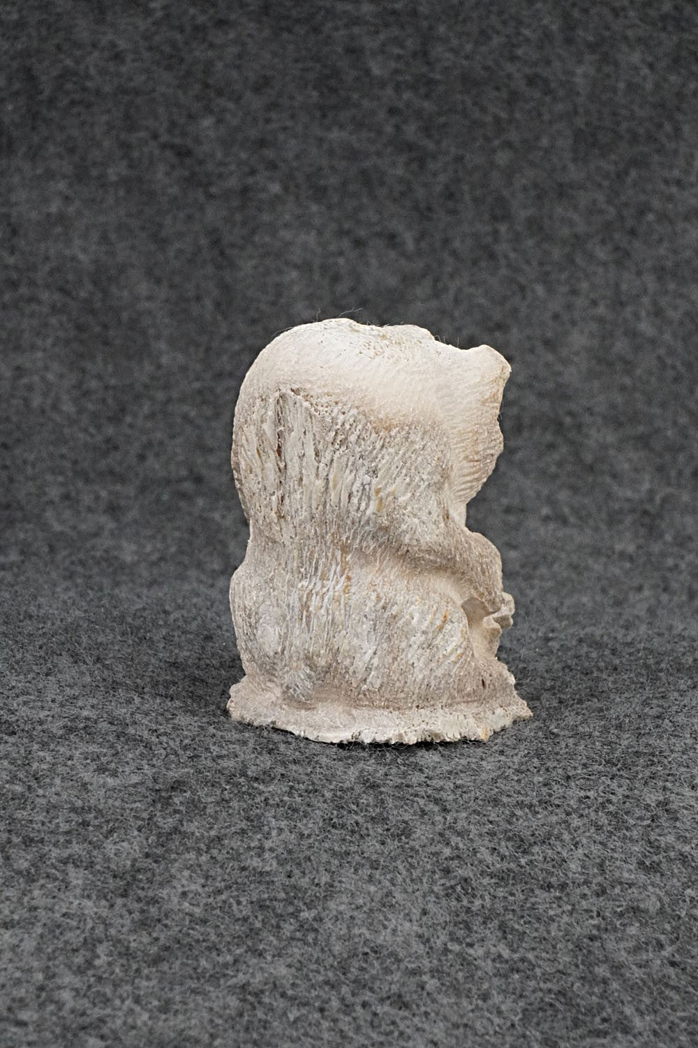 Bear Zuni Fetish Carving - Elton Kaamasee