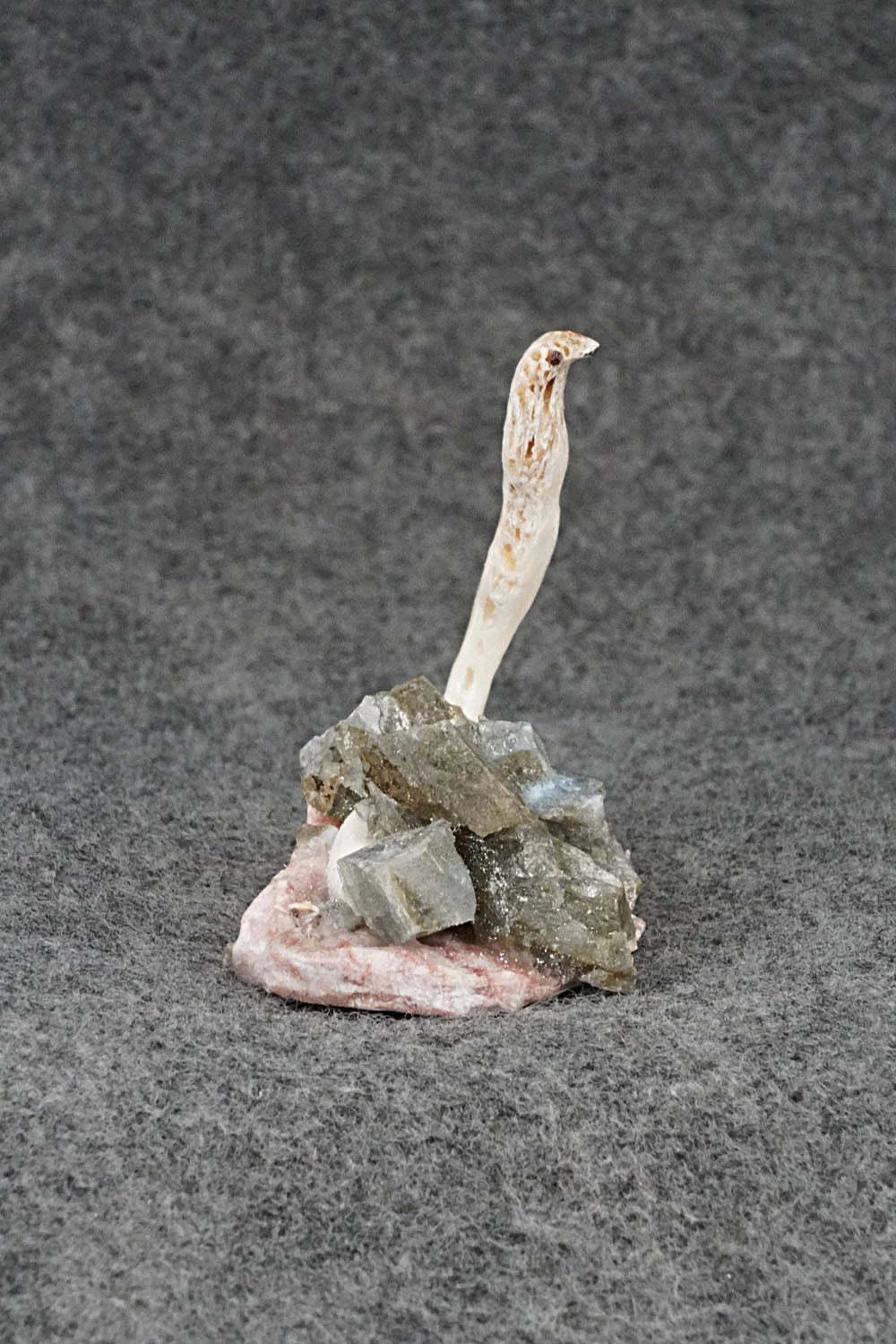 Cobra Zuni Fetish Carving - Ruben Najera