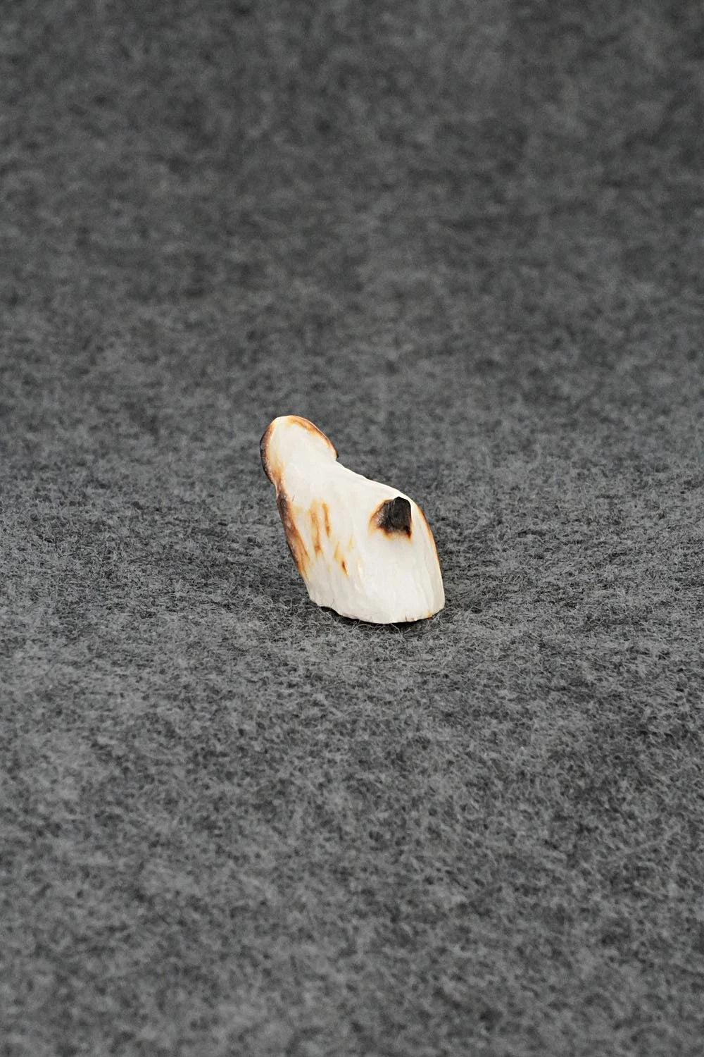 Dog Zuni Fetish Carving - Ruben Najera