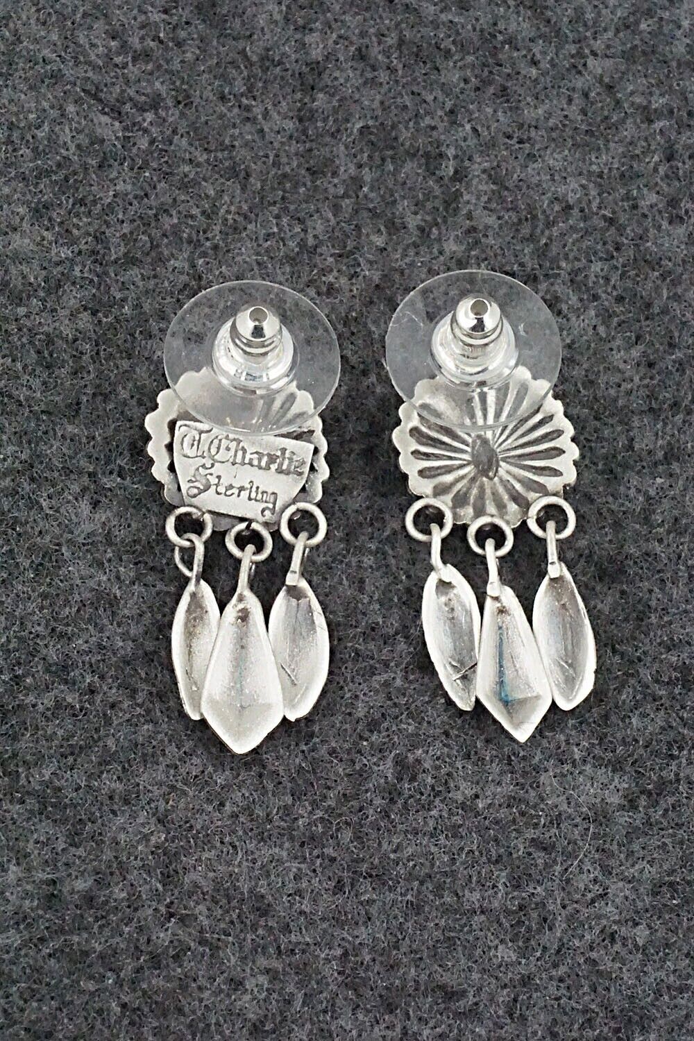 Sterling Silver Earrings - Terry Charlie