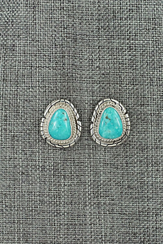 Turquoise & Sterling Silver Earrings - Peggy Skeets