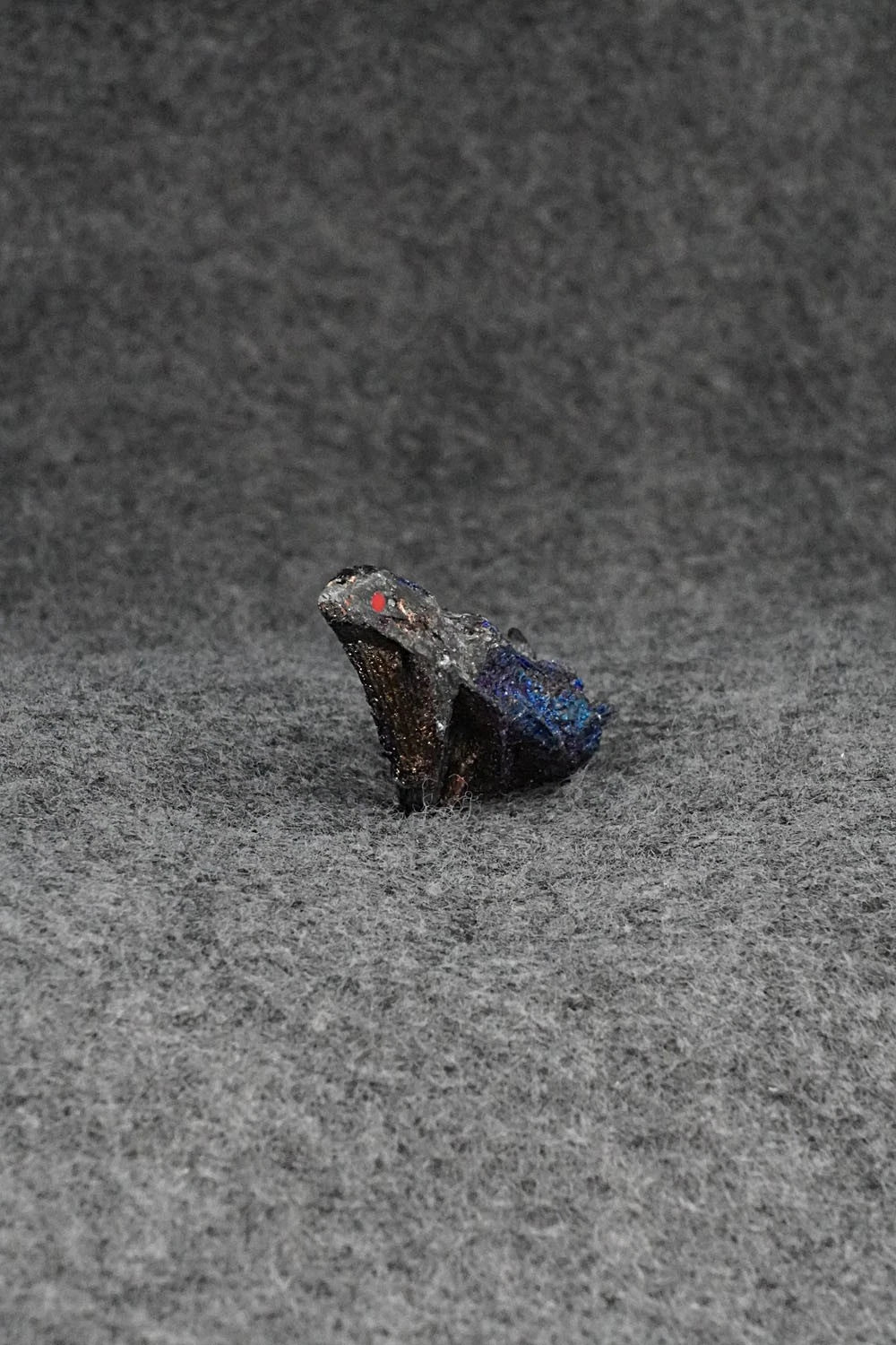 Eagle Zuni Fetish Carving - Abby Quam Panteah