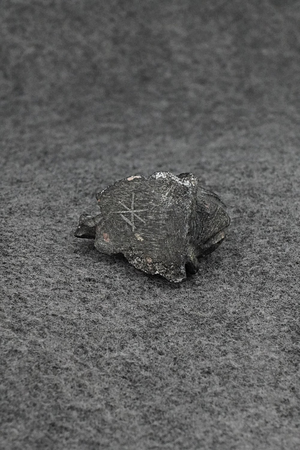 Beetle Zuni Fetish Carving - Derrick Kammasee